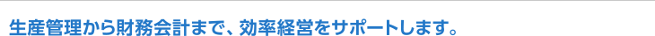 生産管理から財務会計まで、効率経営をサポートします。
